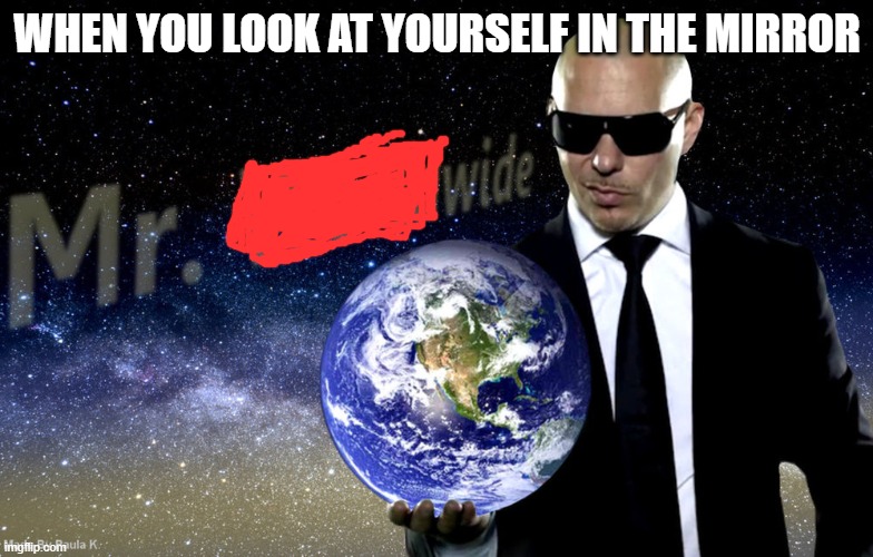 Mr Worldwide | WHEN YOU LOOK AT YOURSELF IN THE MIRROR | image tagged in mr worldwide | made w/ Imgflip meme maker