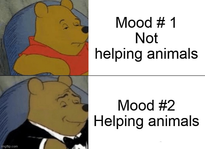 Tuxedo Winnie The Pooh Meme | Mood # 1
Not helping animals; Mood #2
Helping animals | image tagged in memes,tuxedo winnie the pooh | made w/ Imgflip meme maker