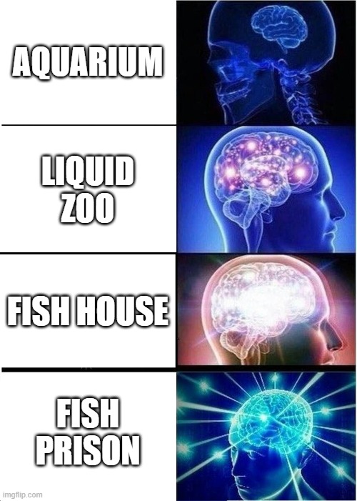 Expanding Brain | AQUARIUM; LIQUID ZOO; FISH HOUSE; FISH PRISON | image tagged in memes,expanding brain | made w/ Imgflip meme maker