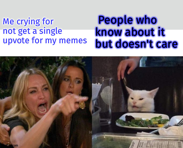 Very sad but true | Me crying for not get a single upvote for my memes; People who know about it but doesn't care | image tagged in memes,woman yelling at cat | made w/ Imgflip meme maker