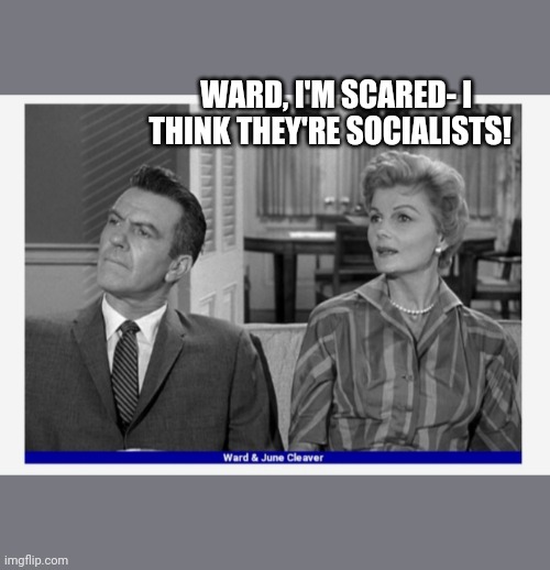 WARD, I'M SCARED- I THINK THEY'RE SOCIALISTS! | made w/ Imgflip meme maker