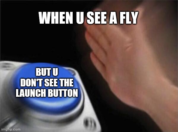 Oof... | WHEN U SEE A FLY; BUT U DON'T SEE THE LAUNCH BUTTON | image tagged in memes,blank nut button | made w/ Imgflip meme maker