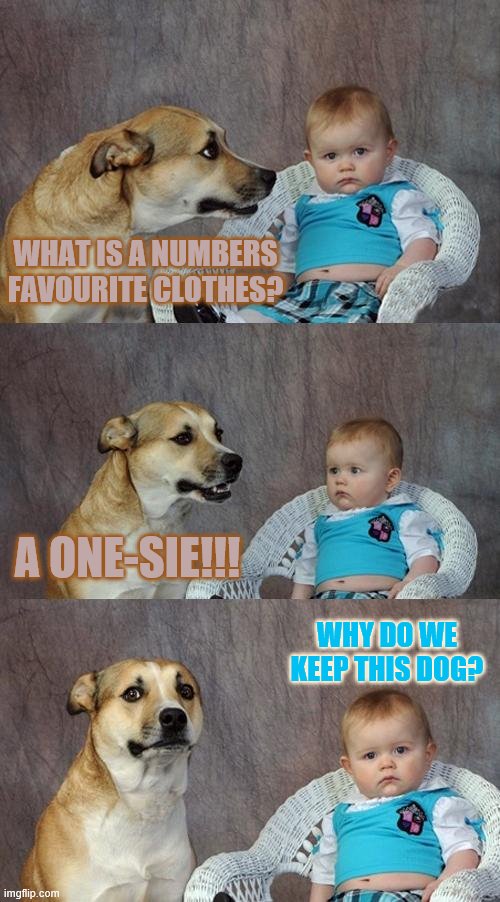 this is the best joke i could do | WHAT IS A NUMBERS FAVOURITE CLOTHES? A ONE-SIE!!! WHY DO WE KEEP THIS DOG? | image tagged in memes,dad joke dog,dad jokes | made w/ Imgflip meme maker