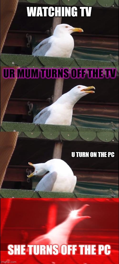 My life | WATCHING TV; UR MUM TURNS OFF THE TV; U TURN ON THE PC; SHE TURNS OFF THE PC | image tagged in memes,inhaling seagull | made w/ Imgflip meme maker