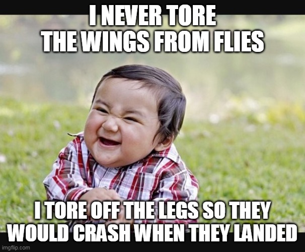 flies | I NEVER TORE THE WINGS FROM FLIES; I TORE OFF THE LEGS SO THEY WOULD CRASH WHEN THEY LANDED | image tagged in evil child | made w/ Imgflip meme maker