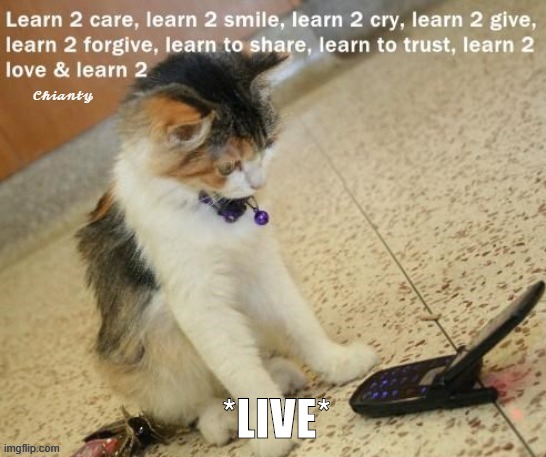 Learn 2 | *LIVE* | image tagged in all lives matter | made w/ Imgflip meme maker