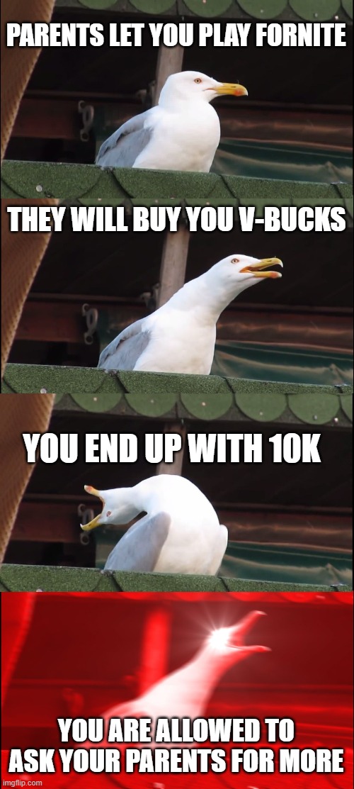 Inhaling Seagull | PARENTS LET YOU PLAY FORNITE; THEY WILL BUY YOU V-BUCKS; YOU END UP WITH 10K; YOU ARE ALLOWED TO ASK YOUR PARENTS FOR MORE | image tagged in memes,inhaling seagull | made w/ Imgflip meme maker