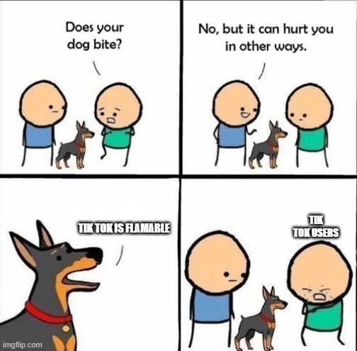 does your dog bite | TIK TOK USERS; TIK TOK IS FLAMABLE | image tagged in does your dog bite | made w/ Imgflip meme maker