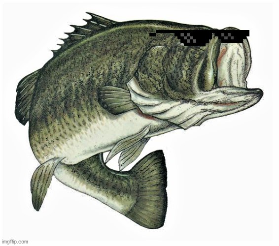 McGerkFish65 Bass Blank Meme Template