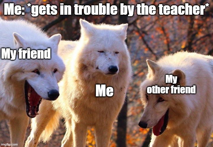 Why does this happen? | Me: *gets in trouble by the teacher*; My friend; My other friend; Me | image tagged in 2/3 wolves laugh | made w/ Imgflip meme maker