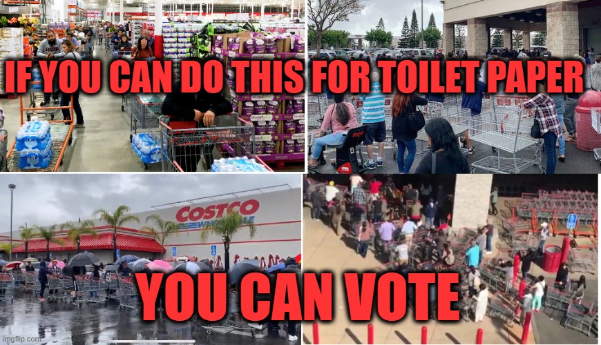 If you can brave long lines for toilet paper, then you can vote | IF YOU CAN DO THIS FOR TOILET PAPER; YOU CAN VOTE | image tagged in election 2020,vote | made w/ Imgflip meme maker