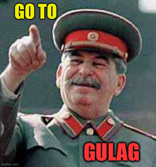 Stalin says | GO TO GULAG | image tagged in stalin says | made w/ Imgflip meme maker