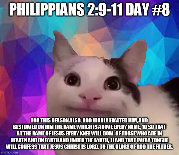 awkward cat | PHILIPPIANS 2:9-11 DAY #8; FOR THIS REASON ALSO, GOD HIGHLY EXALTED HIM, AND BESTOWED ON HIM THE NAME WHICH IS ABOVE EVERY NAME, 10 SO THAT AT THE NAME OF JESUS EVERY KNEE WILL BOW, OF THOSE WHO ARE IN HEAVEN AND ON EARTH AND UNDER THE EARTH, 11 AND THAT EVERY TONGUE WILL CONFESS THAT JESUS CHRIST IS LORD, TO THE GLORY OF GOD THE FATHER. | image tagged in awkward cat | made w/ Imgflip meme maker