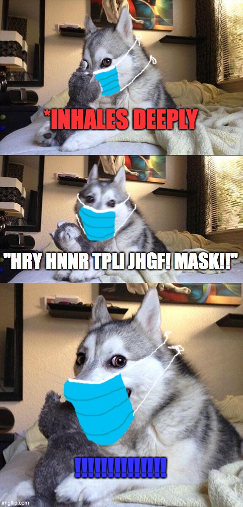 Wear a mask | *INHALES DEEPLY; "HRY HNNR TPLI JHGF! MASK!!"; !!!!!!!!!!!!!! | image tagged in memes,bad pun dog | made w/ Imgflip meme maker