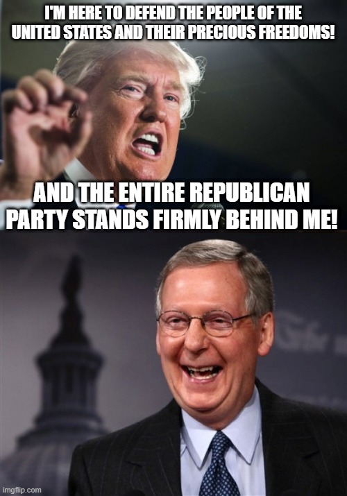 I'M HERE TO DEFEND THE PEOPLE OF THE UNITED STATES AND THEIR PRECIOUS FREEDOMS! AND THE ENTIRE REPUBLICAN PARTY STANDS FIRMLY BEHIND ME! | image tagged in donald trump | made w/ Imgflip meme maker