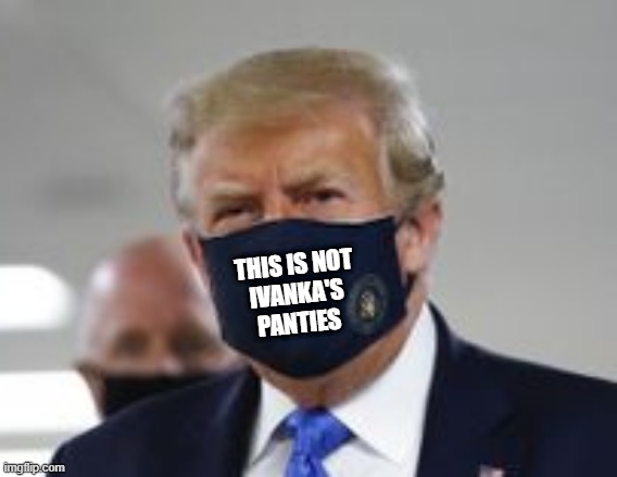 THIS IS NOT
IVANKA'S
PANTIES | image tagged in donald trump,ivanka trump | made w/ Imgflip meme maker
