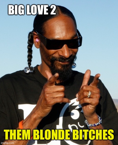 Snoop Dogg approves | BIG LOVE 2 THEM BLONDE BITCHES | image tagged in snoop dogg approves | made w/ Imgflip meme maker