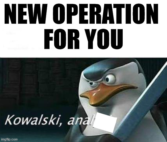 kowalski, analysis | NEW OPERATION 
FOR YOU | image tagged in kowalski analysis | made w/ Imgflip meme maker