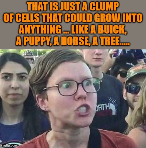 Triggered Liberal | THAT IS JUST A CLUMP OF CELLS THAT COULD GROW INTO ANYTHING ... LIKE A BUICK, A PUPPY, A HORSE, A TREE..... | image tagged in triggered liberal | made w/ Imgflip meme maker