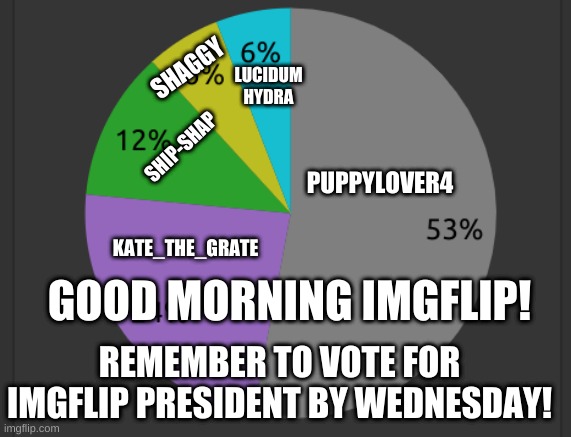 REMEMBER TO VOTE AT THE LINK BELOW BY 1PM JULY 13 LOCAL TIME | LUCIDUM HYDRA; SHAGGY; SHIP-SHAP; PUPPYLOVER4; KATE_THE_GRATE; GOOD MORNING IMGFLIP! REMEMBER TO VOTE FOR IMGFLIP PRESIDENT BY WEDNESDAY! | made w/ Imgflip meme maker