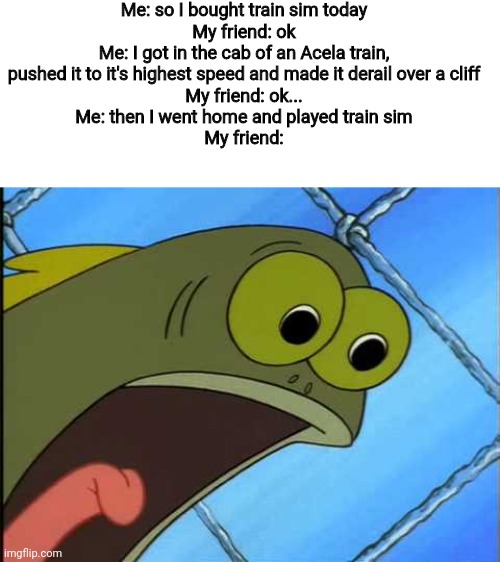 Hehe | Me: so I bought train sim today
My friend: ok
Me: I got in the cab of an Acela train, pushed it to it's highest speed and made it derail over a cliff
My friend: ok...
Me: then I went home and played train sim
My friend: | image tagged in you what,trains,train sim,crash,stop reading the tags,never gonna give you up | made w/ Imgflip meme maker