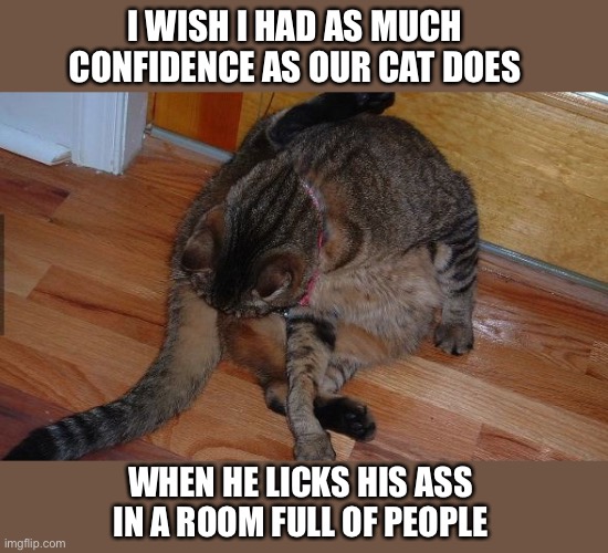 cat licking balls | I WISH I HAD AS MUCH CONFIDENCE AS OUR CAT DOES; WHEN HE LICKS HIS ASS IN A ROOM FULL OF PEOPLE | image tagged in cat licking balls | made w/ Imgflip meme maker