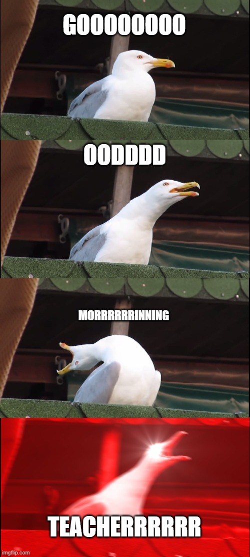 Inhaling Seagull | GOOOOOOOO; OODDDD; MORRRRRRINNING; TEACHERRRRRR | image tagged in memes,inhaling seagull | made w/ Imgflip meme maker
