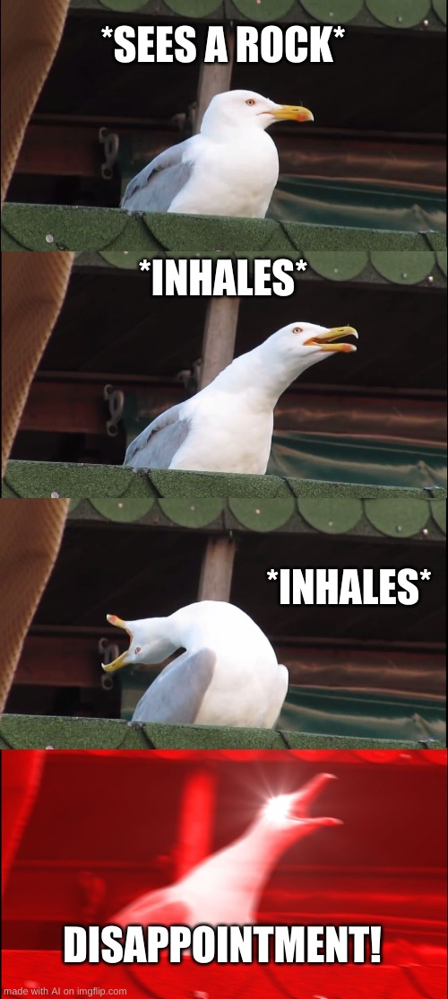 Inhaling Seagull Meme | *SEES A ROCK*; *INHALES*; *INHALES*; DISAPPOINTMENT! | image tagged in memes,inhaling seagull | made w/ Imgflip meme maker