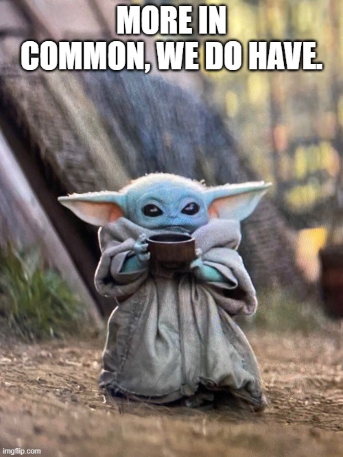 Common grounds | MORE IN COMMON, WE DO HAVE. | image tagged in baby yoda tea | made w/ Imgflip meme maker
