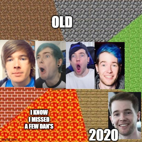 Minecraft Steve | OLD 2020 I KNOW I MISSED A FEW DAN'S | image tagged in minecraft steve | made w/ Imgflip meme maker
