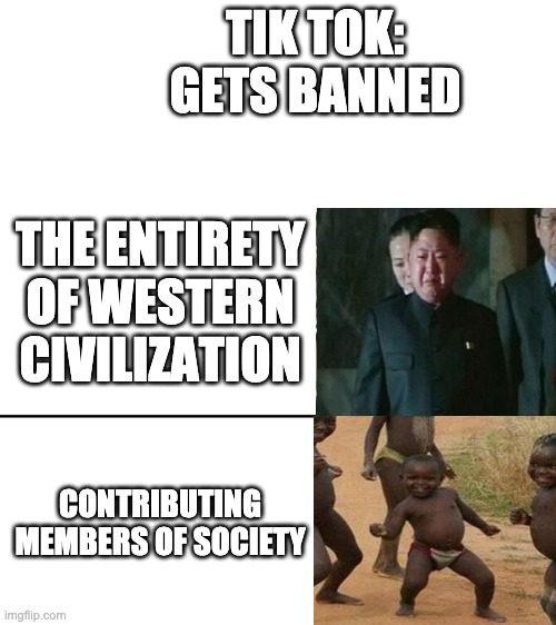 Do it please 2.0 | TIK TOK: GETS BANNED; THE ENTIRETY OF WESTERN CIVILIZATION; CONTRIBUTING MEMBERS OF SOCIETY | image tagged in reversed disappointed black man | made w/ Imgflip meme maker