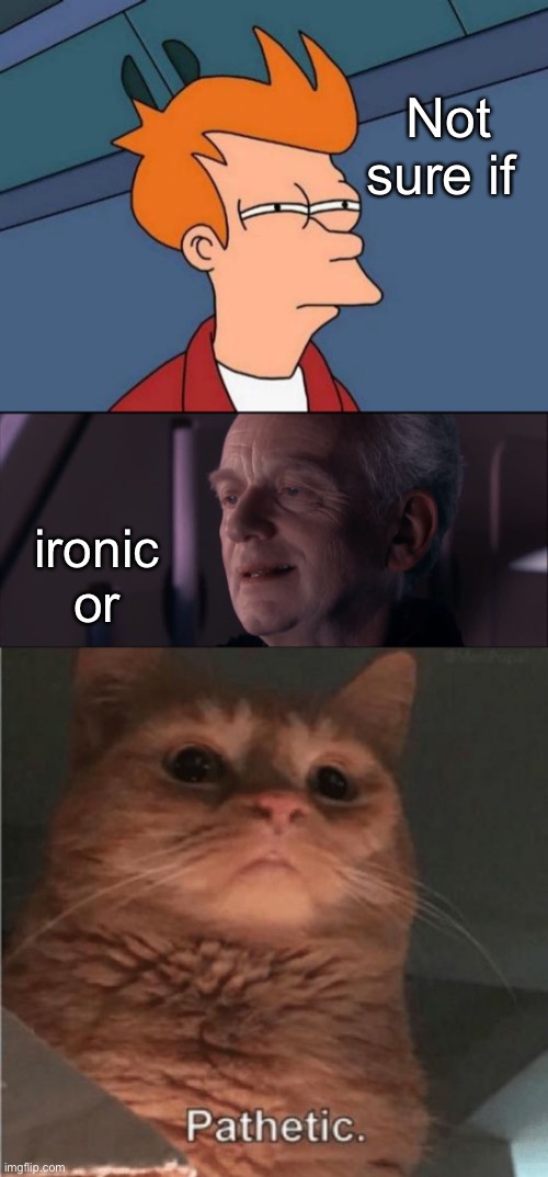 Not sure if ironic or | image tagged in memes,futurama fry,palpatine ironic,pathetic cat | made w/ Imgflip meme maker