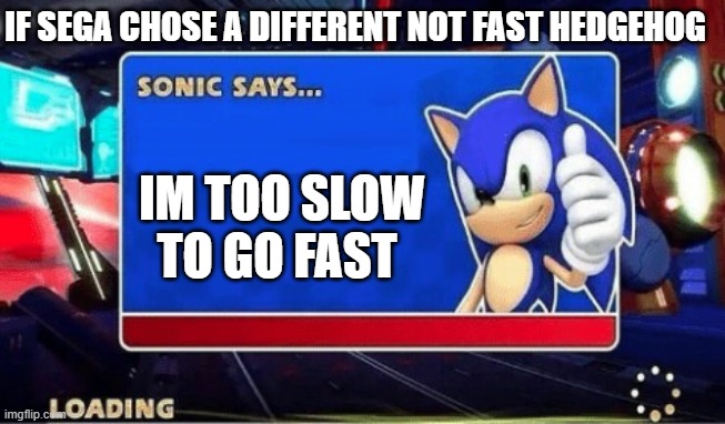 Sonic Says | IF SEGA CHOSE A DIFFERENT NOT FAST HEDGEHOG; IM TOO SLOW TO GO FAST | image tagged in sonic says | made w/ Imgflip meme maker