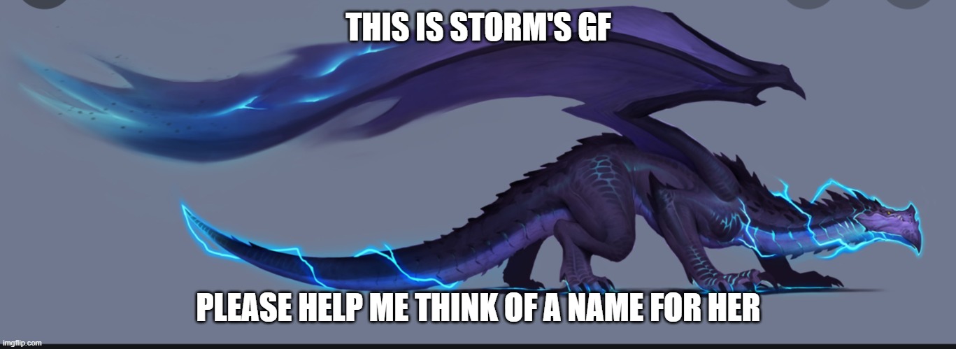 THIS IS STORM'S GF; PLEASE HELP ME THINK OF A NAME FOR HER | made w/ Imgflip meme maker