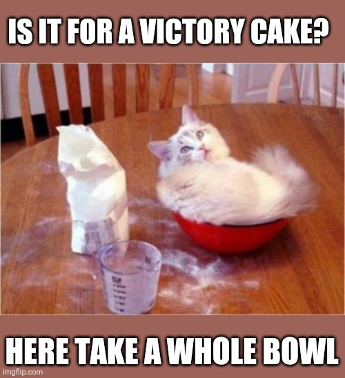 kitten flour | IS IT FOR A VICTORY CAKE? HERE TAKE A WHOLE BOWL | image tagged in kitten flour | made w/ Imgflip meme maker