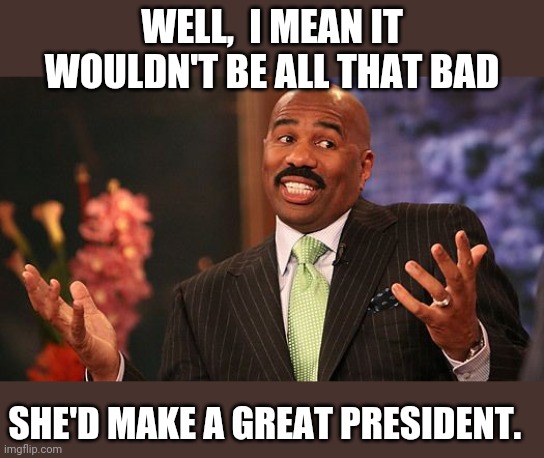 shrug | WELL,  I MEAN IT WOULDN'T BE ALL THAT BAD SHE'D MAKE A GREAT PRESIDENT. | image tagged in shrug | made w/ Imgflip meme maker