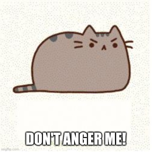 Pusheen (angry) | DON'T ANGER ME! | image tagged in pusheen angry | made w/ Imgflip meme maker
