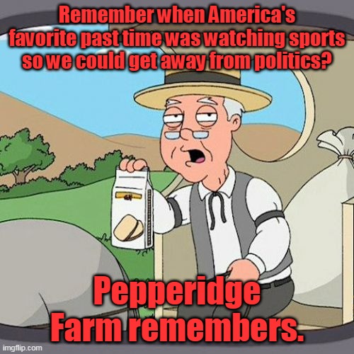 Fact: Native Americans were the first to call themselves "redskins" in contrast to the foreigners they call "whiteskins." | Remember when America's favorite past time was watching sports so we could get away from politics? Pepperidge Farm remembers. | image tagged in memes,pepperidge farm remembers,nfl,redskins,cultural marxism,democrats | made w/ Imgflip meme maker