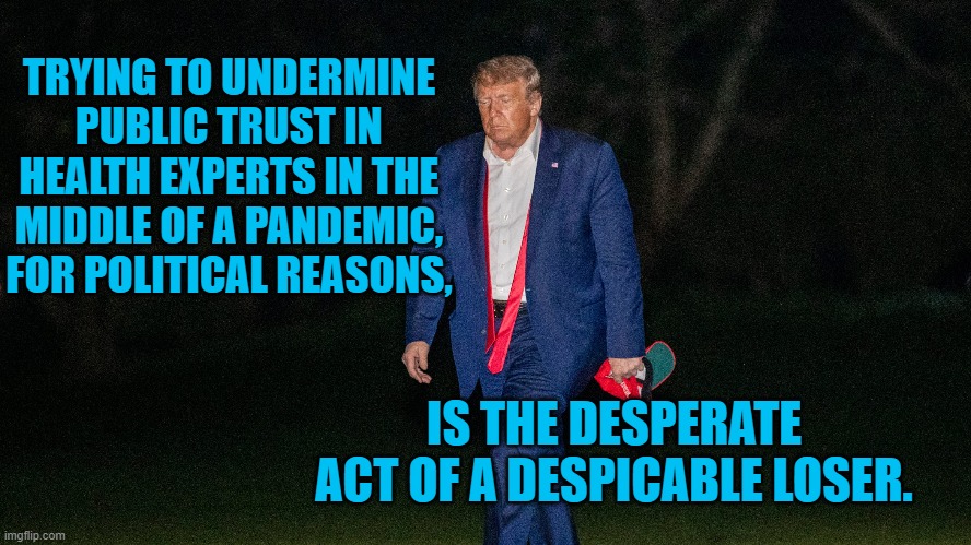 The Despicable President Pandemic | TRYING TO UNDERMINE PUBLIC TRUST IN HEALTH EXPERTS IN THE MIDDLE OF A PANDEMIC, FOR POLITICAL REASONS, IS THE DESPERATE ACT OF A DESPICABLE LOSER. | image tagged in politics | made w/ Imgflip meme maker