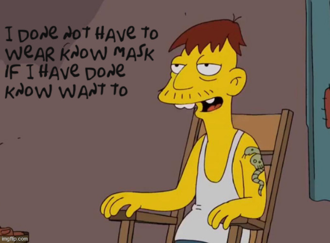 Anti-Maskers | image tagged in anti-masker,the simpsons,cletus,stupid | made w/ Imgflip meme maker