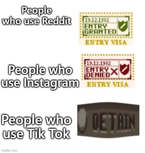 papers please | People who use Reddit; People who use Instagram; People who use Tik Tok | image tagged in papers please | made w/ Imgflip meme maker