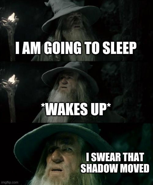 Confused Gandalf | I AM GOING TO SLEEP; *WAKES UP*; I SWEAR THAT SHADOW MOVED | image tagged in memes,confused gandalf | made w/ Imgflip meme maker