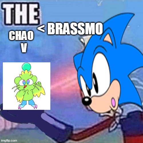 Brassmo The Chao meeting | < BRASSMO; CHAO
   V | image tagged in funny | made w/ Imgflip meme maker