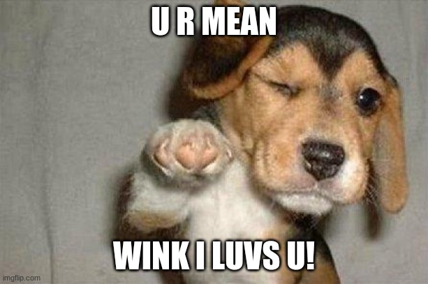 Awesome Dog | U R MEAN; WINK I LUVS U! | image tagged in awesome dog | made w/ Imgflip meme maker