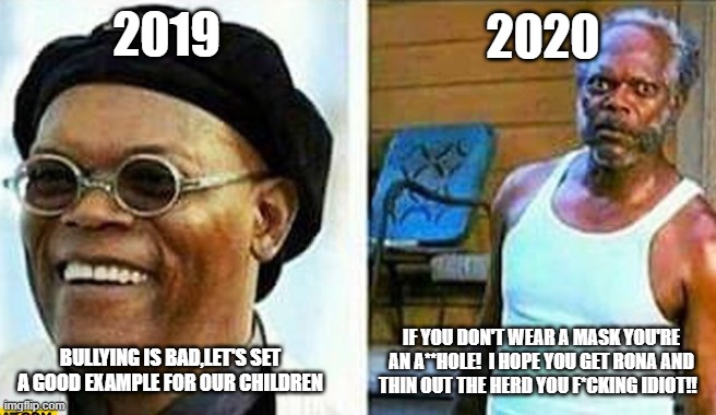 Samuel L Jackson before and after | 2019; 2020; BULLYING IS BAD,LET'S SET A GOOD EXAMPLE FOR OUR CHILDREN; IF YOU DON'T WEAR A MASK YOU'RE AN A**HOLE!  I HOPE YOU GET RONA AND THIN OUT THE HERD YOU F*CKING IDIOT!! | image tagged in samuel l jackson before and after,coronavirus,covid-19,bullying,cyberbullying,trump | made w/ Imgflip meme maker