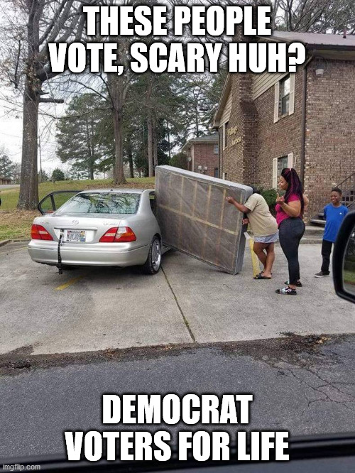 Mattress into car | THESE PEOPLE VOTE, SCARY HUH? DEMOCRAT VOTERS FOR LIFE | image tagged in mattress into car | made w/ Imgflip meme maker