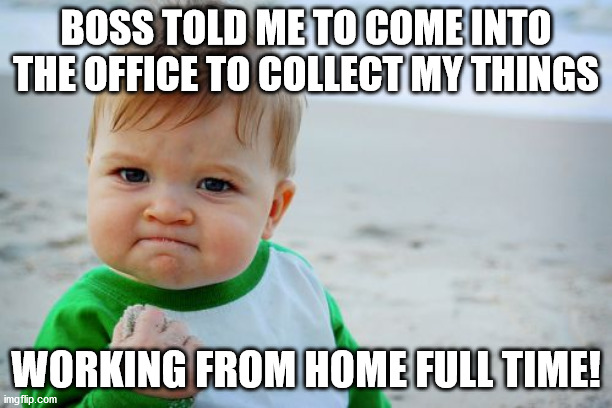 YES! | BOSS TOLD ME TO COME INTO THE OFFICE TO COLLECT MY THINGS; WORKING FROM HOME FULL TIME! | image tagged in memes,success kid original,work from home | made w/ Imgflip meme maker