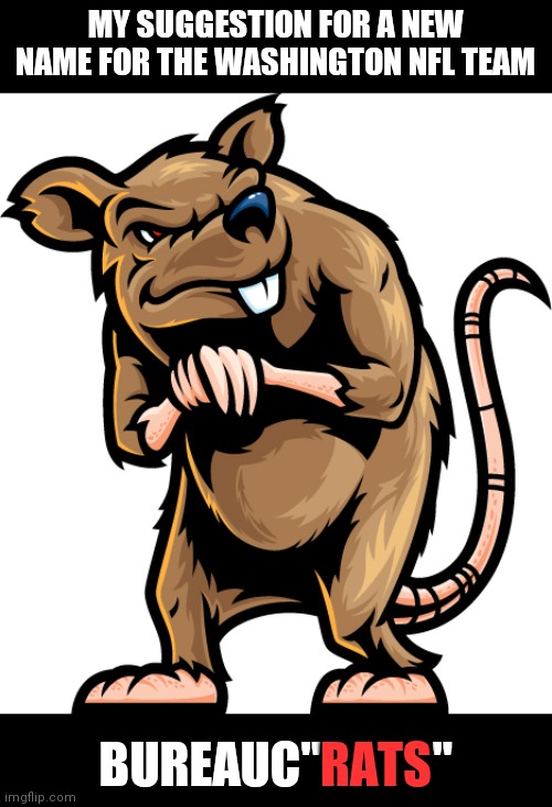 Shady Rat | MY SUGGESTION FOR A NEW NAME FOR THE WASHINGTON NFL TEAM; BUREAUC"RATS"; RATS | image tagged in shady rat | made w/ Imgflip meme maker