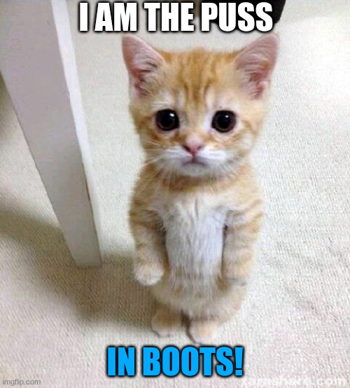 Puss in boots. Imgflip