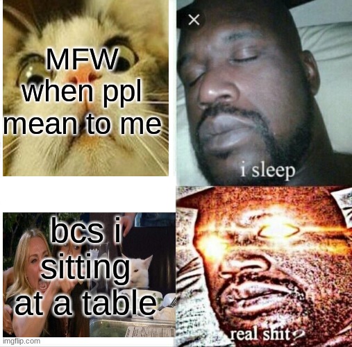 Sleeping Shaq Meme | MFW when ppl mean to me; bcs i sitting at a table | image tagged in memes,sleeping shaq,cats | made w/ Imgflip meme maker